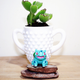 Illustration for article titled Project Bulbasaur Botany: Succulents